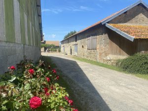 Gîte Le Petit Lotis
