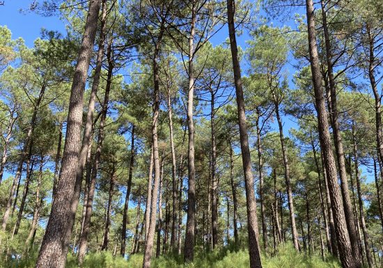 Boucle le ruisseau des fillières