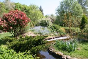 ARBORETUM DU TUFFEAU