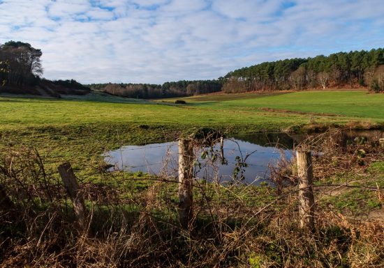 La boucle du Chêneau