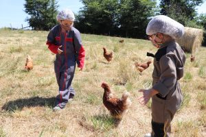 365 JOURS À LOUÉ – FERMIERS DE LOUE