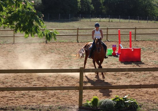 Écurie/élevage des Rosiers