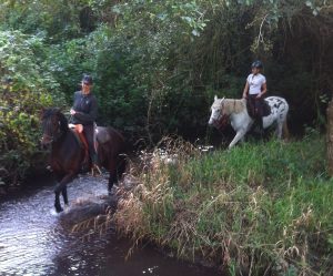 PARIGNE CHEVAL AVENTURES