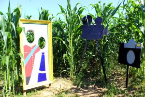 Labyrinthe de Maïs