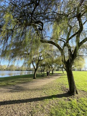 Camping La Venise de l’Ouest