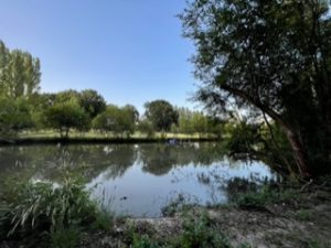 La Vallée de la Hune – Le Pâtis
