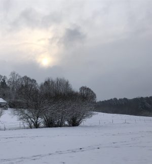 Chambre d’hôtes familiale Bras de mer
