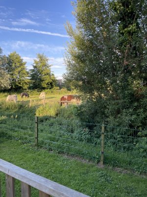 Camping La Venise de l’Ouest