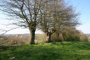 N°38 : La Vallée de l’Étangsort