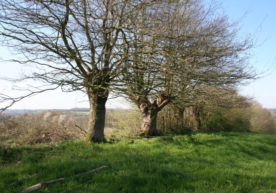 La Vallée de l’Étangsort