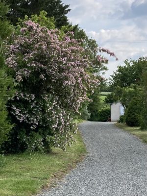 Gîte de la Plénitude