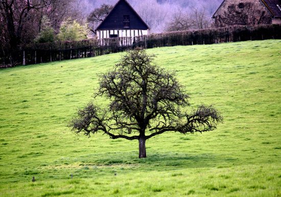 Circuit de la Croix Champagne