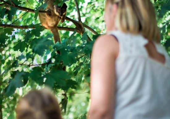 Domaine Zoologique de Pescheray