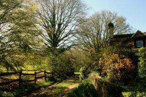 N°17 : La route des Aulnays