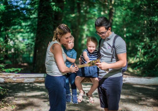 Le Domaine de Pescheray