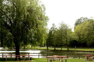 N°42 : Circuit botanique