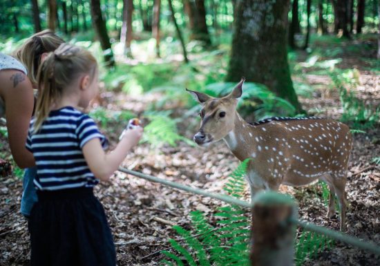 Domaine Zoologique de Pescheray