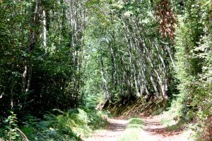 N°21 : Autour du Mont Chauvel