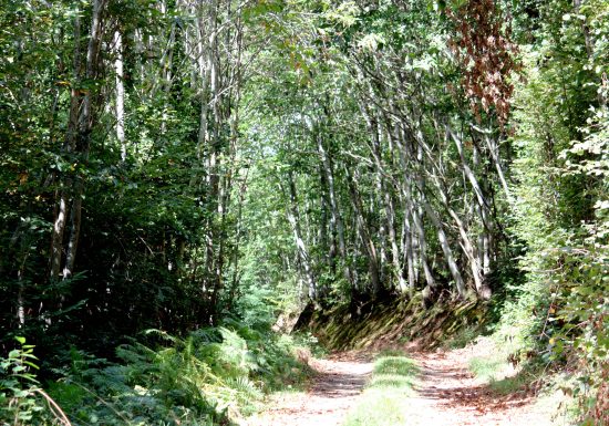 Autour du Mont Chauvel