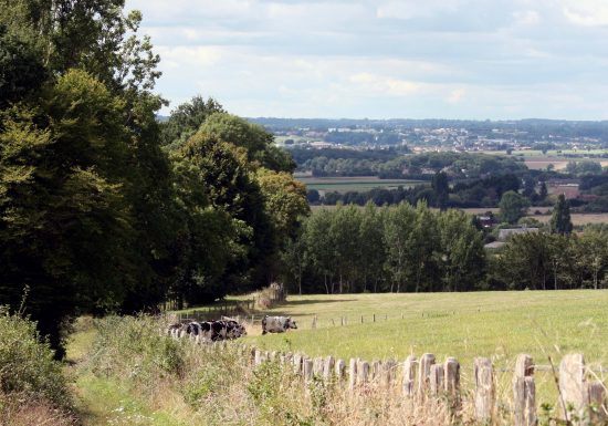 N°21 : Autour du Mont Chauvel