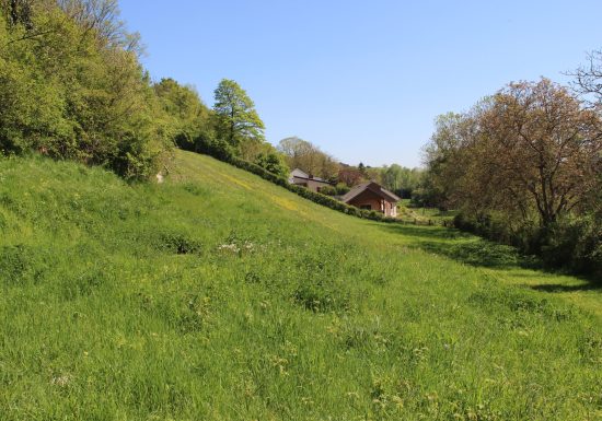 Coteau et prairies des Caforts
