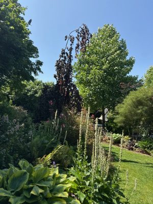 Journées Européennes du Patrimoine – Visite des jardins de l’ancienne Ecole des Garçons