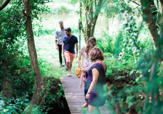 Sur les pas du Gohan