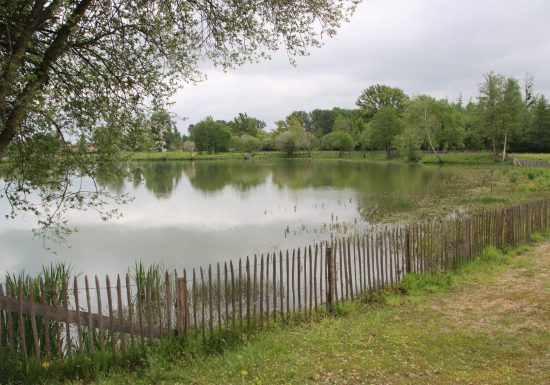 Plan d’eau de Parigné-l’Évêque