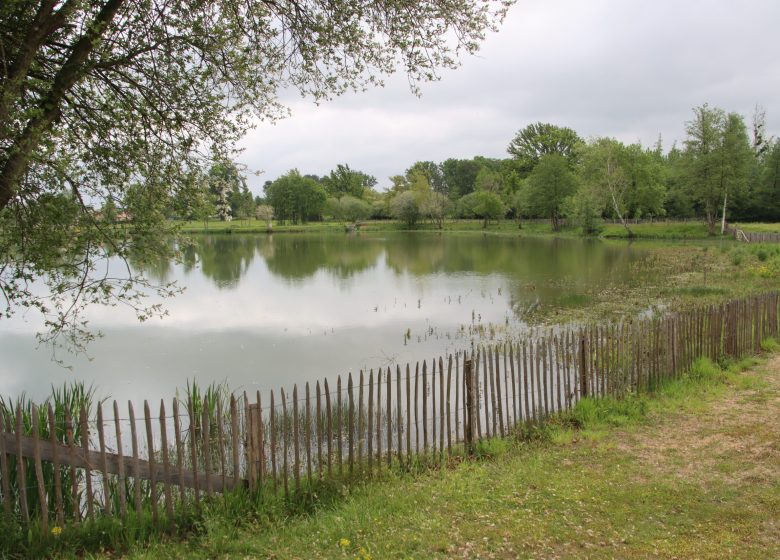 Plan d’eau de Parigné-l’Évêque