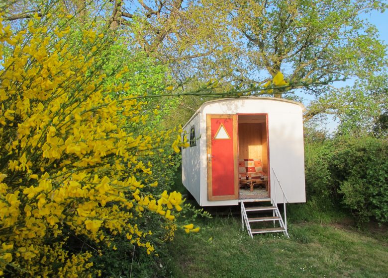 La Grande Savane – gypsy caravans