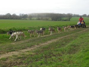 Cani-rando et balade kart : Association des Crocs Blancs Sarthois