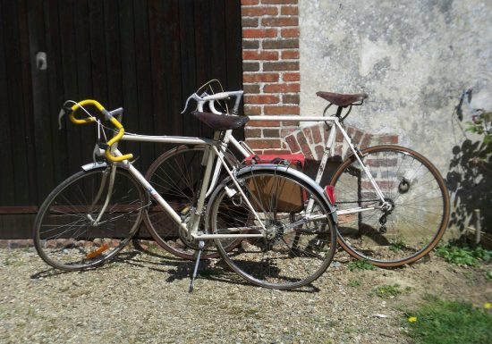 CIRCUIT CYCLOTOURISTIQUE – MAMERS ET LA FORÊT DE PERSEIGNE