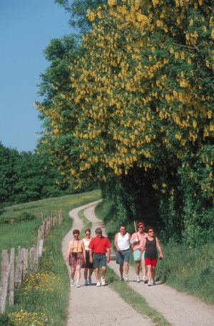 CIRCUIT PEDESTRE “HÊTRE” – NEUFCHÂTEL EN SAOSNOIS