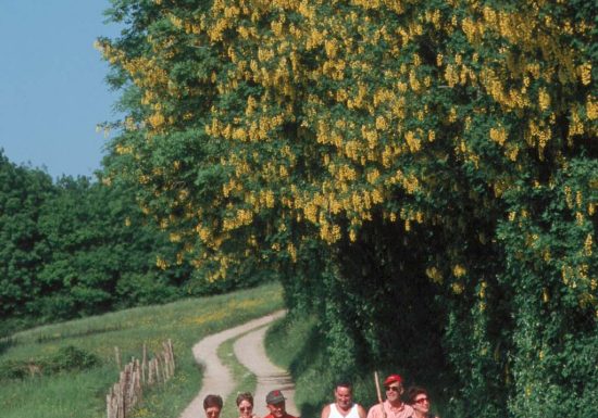 CIRCUIT PEDESTRE “HÊTRE” – NEUFCHÂTEL EN SAOSNOIS
