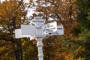 JUPILLES – ESCAPADE EN FORÊT DE BERCÉ