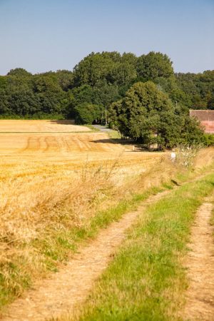 CIRCUIT N°29 : À L’OMBRE DES HAIES – THORIGNÉ-SUR-DUÉ