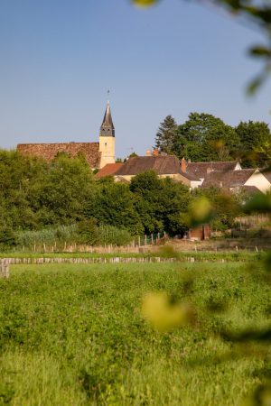 CIRCUIT N°29 : À L’OMBRE DES HAIES – THORIGNÉ-SUR-DUÉ