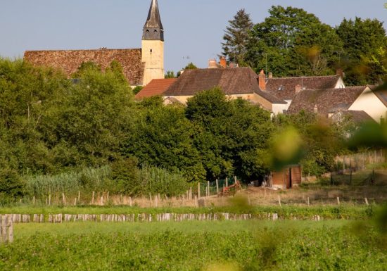 À l’ombre des haies