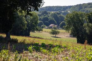 LE PERCHE SARTHOIS À VÉLO – CIRCUIT N°9: LE BERCEAU DES RILLETTES DU PERCHE SARTHOIS