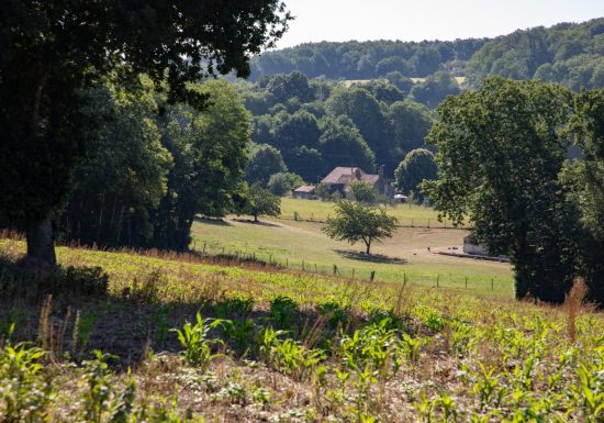 N°9 : Le berceau des rillettes du Perche Sarthois