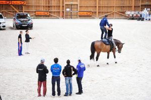 BOULERIE JUMP – POLE EUROPEEN DU CHEVAL