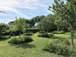 Jardins du manoir de la Massonnière