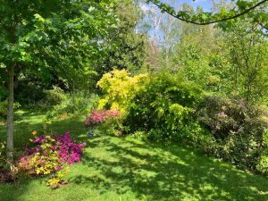 Jardins du manoir de la Massonnière