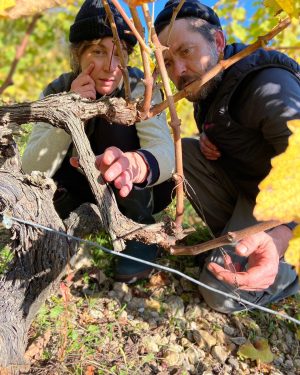 DOMAINE DE LA ROCHE BLEUE