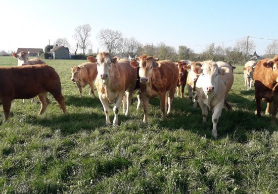 Aire de stationnement à la ferme
