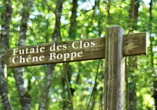 Le Grand Lucé < >Château-du-Loir