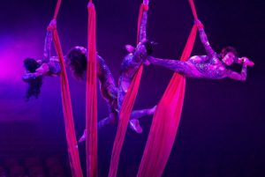 Spectacle de Noël 2025 – L’ASN fête ses 40 ans