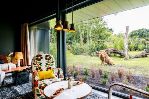 Safari suite – Zoo de la Flèche