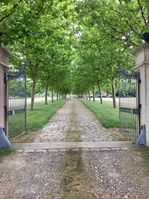 Domaine de la Cendrinerie
