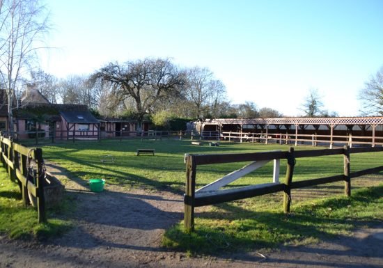 CHEVAL EN BELINOIS